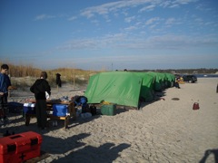 Beach Trip, Nov 7-9, 2008